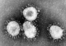 OMS declara alerta mundial por rápida propagación de coronavirus