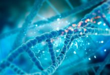 El último día de febrero, Día Internacional de las Enfermedades Huérfanas