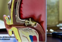 Hoy es el Día Internacional del Implante Coclear Hoy es el Día Internacional del Implante Coclear