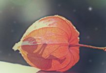 Aunque causa polémica el aborto sigue siendo legal en Colombia El aborto en Colombia