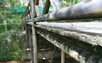 Hombre de la tercera edad fue encontrado ahorcado en Sabaneta