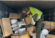 En Sabaneta incautaron 30.7 kilos de marihuana en vehículo de mensajería En Sabaneta incautaron 30.7 kilos de marihuana en vehículo de mensajería - Sabaneta Hoy