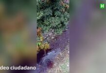Sancionan empresa que produjo coloración roja de la quebrada La Honda en Sabaneta