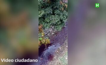 Sancionan empresa que produjo coloración roja de la quebrada La Honda en Sabaneta