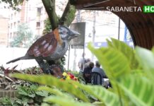 En Sabaneta, silleteros realizaron esculturas de flores alusivas a aves