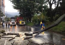 Bomberos de Sabaneta atendieron 20 emergencias en la tarde de ayer tras fuertes lluvias