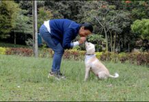 Diana David, la sabaneteña que ha dedicado su vida a rescatar animales