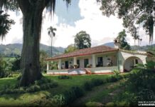 Finca La Doctora, el lugar que con más de 200 años sigue teniendo vida en Sabaneta