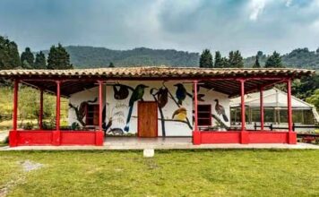 Así se creó en Sabaneta una de las reservas de mayor importancia del Valle de Aburrá