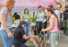 Desde este miércoles Sabaneta celebra la Semana del Bienestar Animal, ¡todos los eventos son gratis!