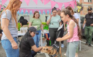 Desde este miércoles Sabaneta celebra la Semana del Bienestar Animal, ¡todos los eventos son gratis!