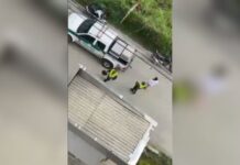 Autoridades le quitaron los perros a hombre que maltrató brutalmente a uno de sus animales en Sabaneta