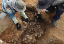 ¿Sabías que en Sabaneta hallaron restos humanos de hace 2000 años?