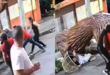 ¡Indignante!, en Sabaneta varias personas dañaron una de las estructuras de los alumbrados