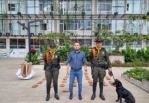 Más de 30 kilos de marihuana que iban a distribuir en Sabaneta fueron incautados