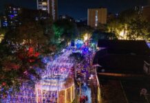 ¡Si no los ha visto aún tiene tiempo!, por una semana más estarán encendidos alumbrados en Sabaneta