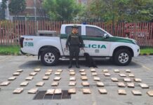 Autoridades incautaron marihuana que iba a ser enviada por encomienda en Sabaneta