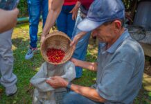 ¡No se lo puede perder!, en Sabaneta se hará el primer festival de café