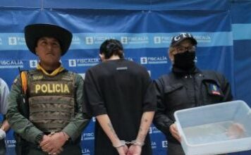 Joven de 21 años fue capturado en Sabaneta por tener en su apartamento fauna disecada y una serpiente viva