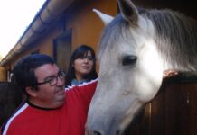 Hipoterapia, una nueva forma de bienestar en Sabaneta