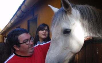 Hipoterapia, una nueva forma de bienestar en Sabaneta