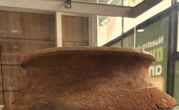 Arqueología en Sabaneta: Tesoros del pasado que revelan la historia indígena Arqueología en Sabaneta: Tesoros del pasado que revelan la historia indígena