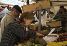 Feria «Desarrollo Fest»: empleo, emprendimiento y mercados campesinos Feria "Desarrollo Fest": empleo, emprendimiento y mercados campesinos en Sabaneta