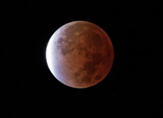 ¡La Luna se tiñe de rojo! Todo sobre el impresionante Eclipse Lunar de marzo