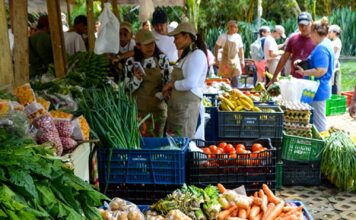 Sabaneta impulsa su economía local con el mercado campesino Sabaneta impulsa su economía local con el mercado campesino