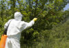 En Sabaneta avanzan las jornadas de fumigación para cuidar la salud de la comunidad