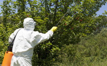 En Sabaneta avanzan las jornadas de fumigación para cuidar la salud de la comunidad